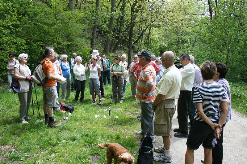 Elbogen Mai 2010 079.jpg